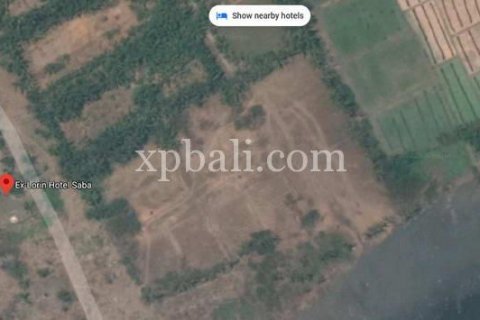 965m2 Land in Gianyar, Indonesia No. 336 6