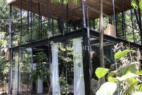 3 bedrooms Villa in Tampaksiring, Gianyar, Indonesia No. 341 10