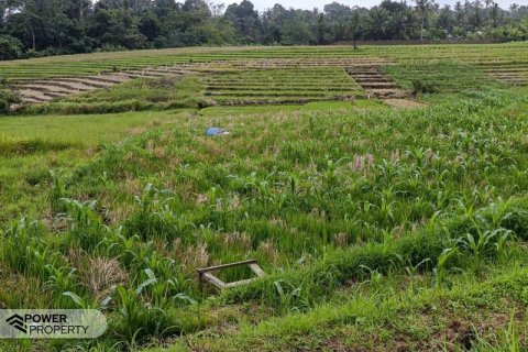 2100m2 Land in Tabanan, Indonesia No. 9117 1