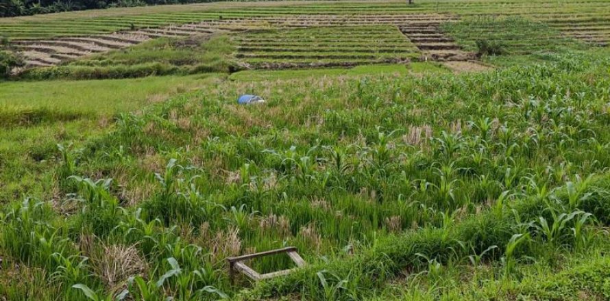 2100m2 Land in Tabanan, Indonesia No. 9117