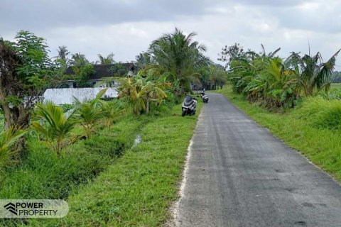 2100m2 Land in Tabanan, Indonesia No. 9117 3