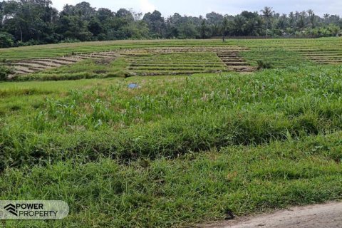 2100m2 Land in Tabanan, Indonesia No. 9117 2