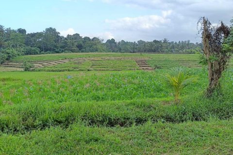 2100m2 Land in Tabanan, Indonesia No. 9117 4