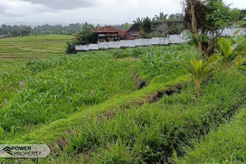 2100m2 Land in Tabanan, Indonesia No. 9117 5