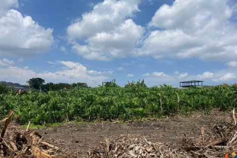 Land in Canggu, Badung, Indonesia No. 11425