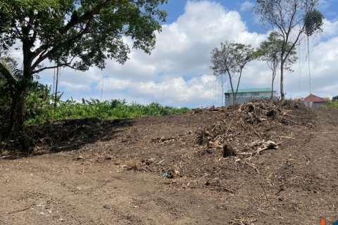 Land in Canggu, Badung, Indonesia No. 11425 5