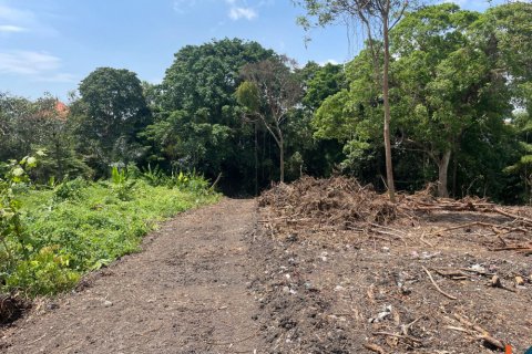 Land in Canggu, Badung, Indonesia No. 11425 4