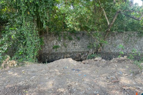 Land in Canggu, Badung, Indonesia No. 11425 2