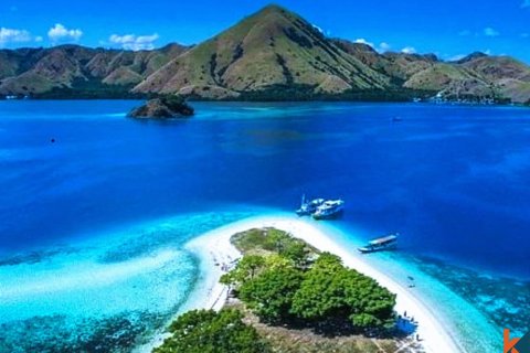 22357m2 Land in Central Lombok, Indonesia No. 11406 2