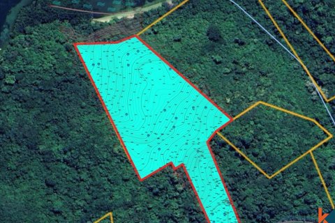 22357m2 Land in Central Lombok, Indonesia No. 11406 4
