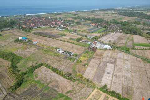 1900m2 Land in Tabanan, Indonesia No. 11405 3