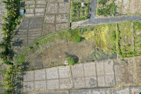 1900m2 Land in Tabanan, Indonesia No. 11405 5