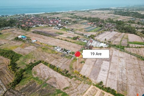 1900m2 Land in Tabanan, Indonesia No. 11405 7