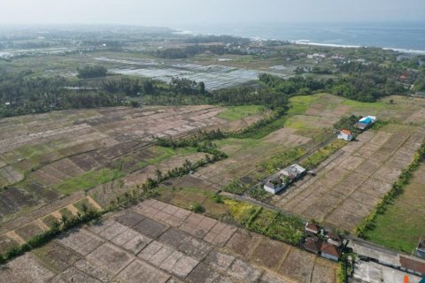 1900m2 Land in Tabanan, Indonesia No. 11405 6