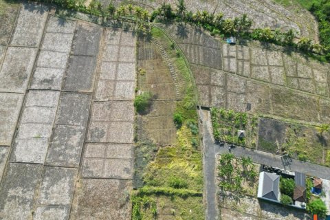 1900m2 Land in Tabanan, Indonesia No. 11405 4