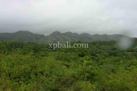 Земельный участок 10000м2 в Nusa Penida, Клунгкунг, Индонезия № 460 3