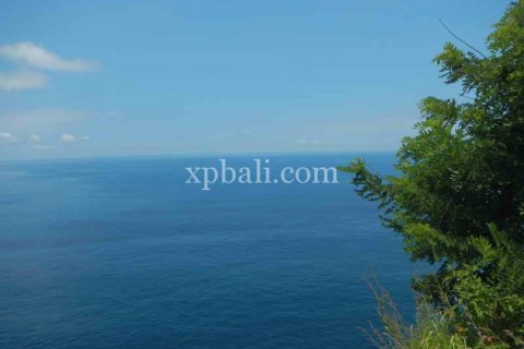 Земельный участок 10000м2 в Nusa Penida, Клунгкунг, Индонезия № 460 5