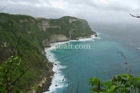 Земельный участок 10000м2 в Nusa Penida, Клунгкунг, Индонезия № 460 2