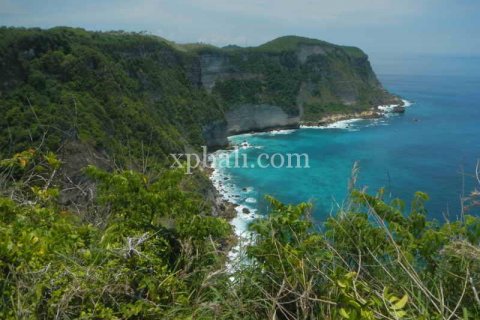 10000m2 Land in Nusa Penida, Klungkung, Indonesia No. 460