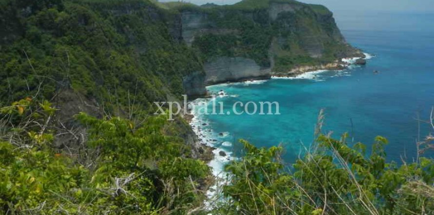 Земельный участок 10000м2 в Nusa Penida, Клунгкунг, Индонезия № 460