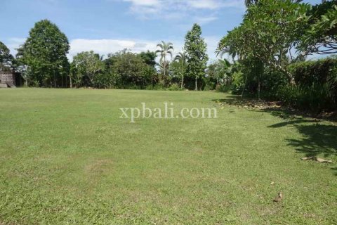 2734m2 Land in Ubud, Gianyar, Indonesia No. 462 7