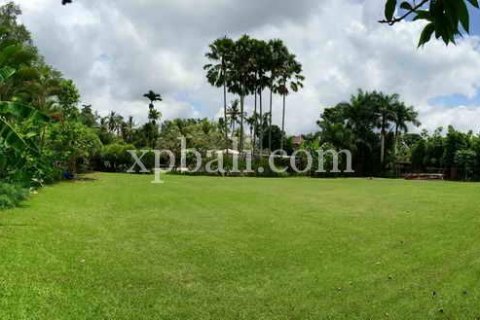 2734m2 Land in Ubud, Gianyar, Indonesia No. 462 4