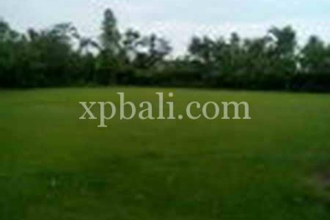 2734m2 Land in Ubud, Gianyar, Indonesia No. 462 3