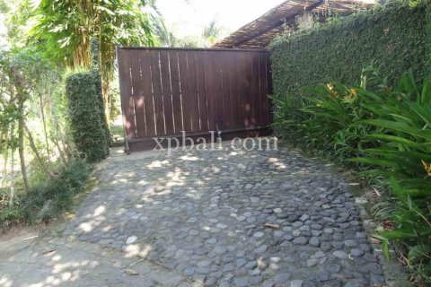 2734m2 Land in Ubud, Gianyar, Indonesia No. 462 5
