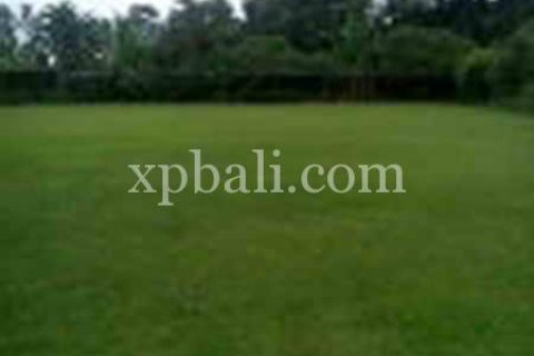 2734m2 Land in Ubud, Gianyar, Indonesia No. 462 8