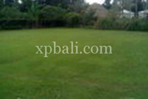2734m2 Land in Ubud, Gianyar, Indonesia No. 462 2