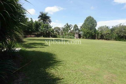 2734m2 Land in Ubud, Gianyar, Indonesia No. 462