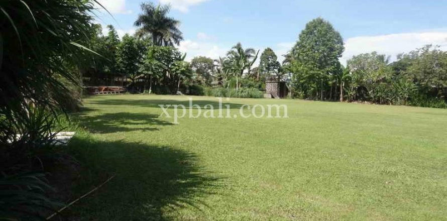 2734m2 Land in Ubud, Gianyar, Indonesia No. 462