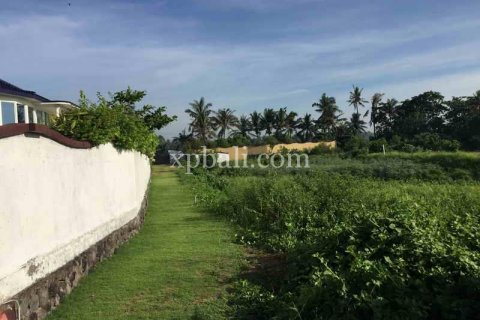 1430m2 Land in Gianyar, Indonesia No. 461 6