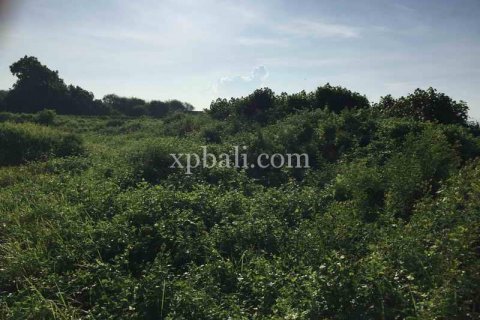 1430m2 Land in Gianyar, Indonesia No. 461 13