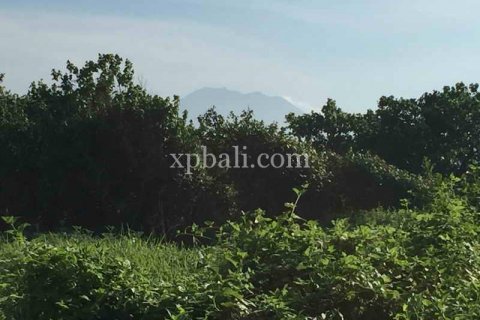1430m2 Land in Gianyar, Indonesia No. 461 3
