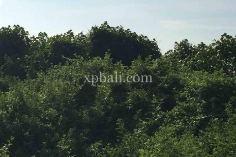 1430m2 Land in Gianyar, Indonesia No. 461 11