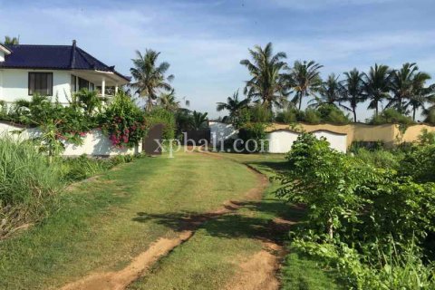 1430m2 Land in Gianyar, Indonesia No. 461 7