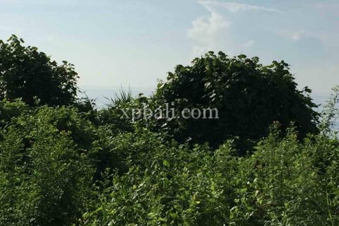 1430m2 Land in Gianyar, Indonesia No. 461 12