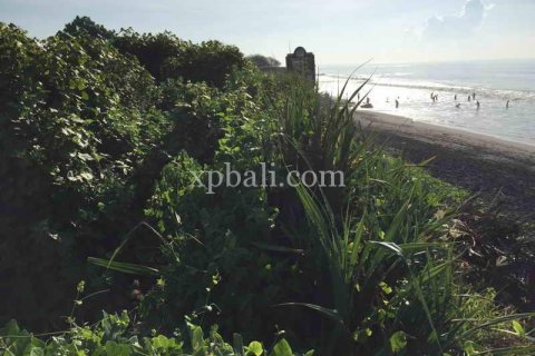1430m2 Land in Gianyar, Indonesia No. 461 4
