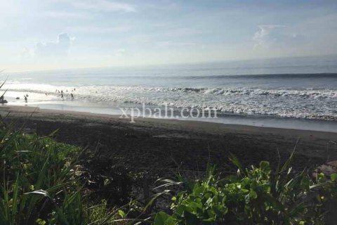 1430m2 Land in Gianyar, Indonesia No. 461