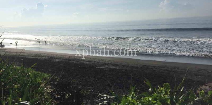 1430m2 Land in Gianyar, Indonesia No. 461