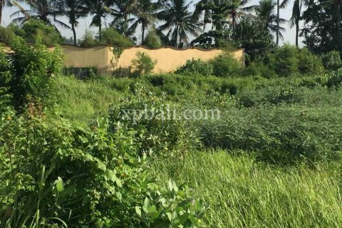 1430m2 Land in Gianyar, Indonesia No. 461 9