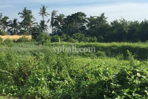 1430m2 Land in Gianyar, Indonesia No. 461 2