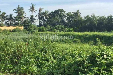 1430m2 Land in Gianyar, Indonesia No. 461 14