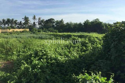 1430m2 Land in Gianyar, Indonesia No. 461 5