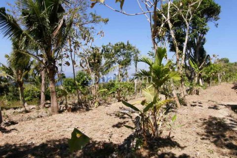 25800m2 Land in Nusa Penida, Klungkung, Indonesia No. 459 7