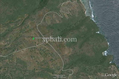 25800m2 Land in Nusa Penida, Klungkung, Indonesia No. 459 3