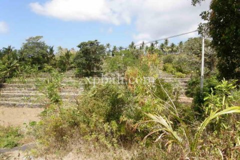 25800m2 Land in Nusa Penida, Klungkung, Indonesia No. 459 8