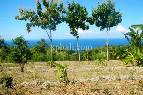 25800m2 Land in Nusa Penida, Klungkung, Indonesia No. 459 10