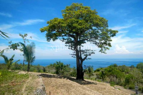 25800m2 Land in Nusa Penida, Klungkung, Indonesia No. 459 1